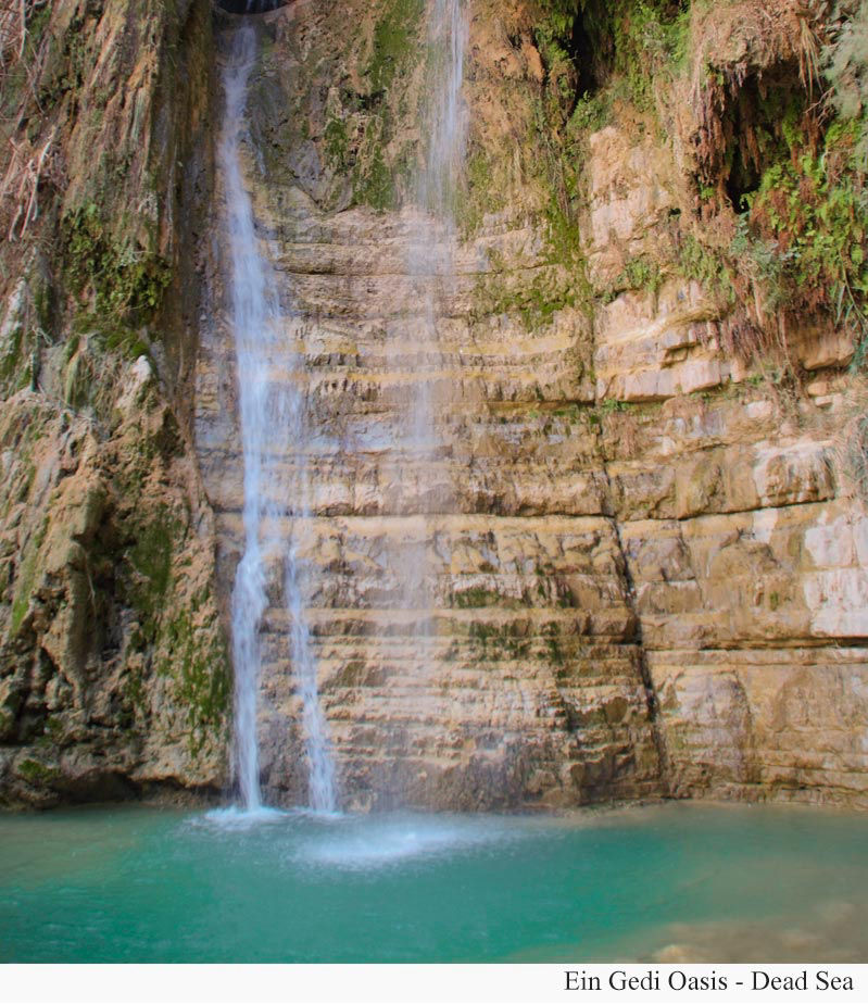 Ein Gedi Oasis